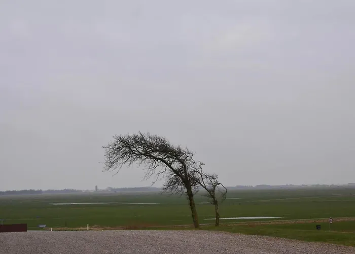 Nyaraló 6 Person In Skaerbaek-by Traum