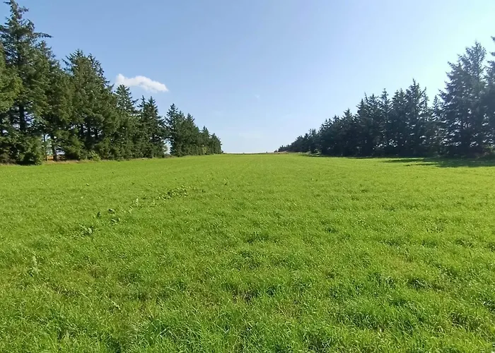 6 Person In Skaerbaek-by Traum * Skærbæk